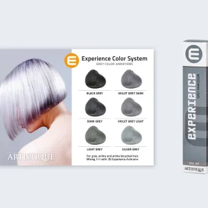 Crema coloranta permanenta / Experience Greys - 100 ml - imagine 1