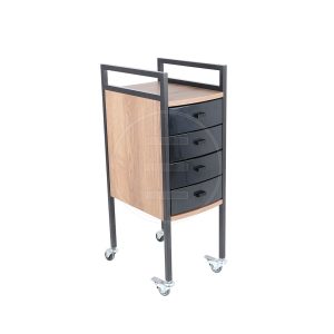 Ucenic Alpeda Fae Servant