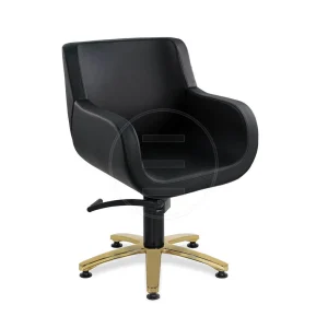 Scaun coafor / styling chair Alpeda Lotus Gold